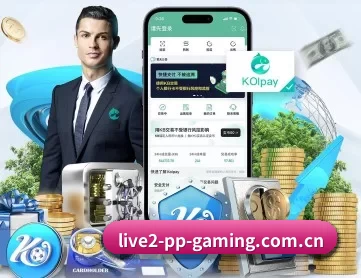 pp模拟器电子 APP 深度功能