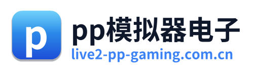 pp模拟器电子